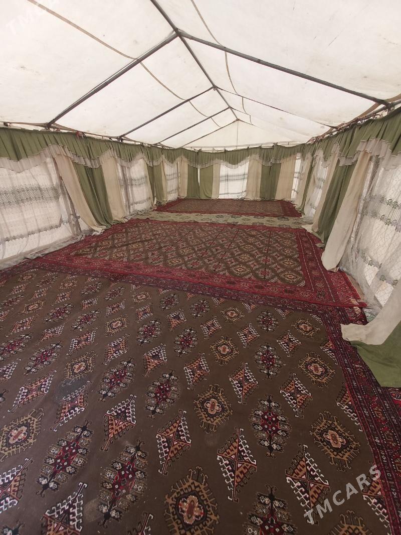 Palatka - Гороглы (Тагта) - img 4