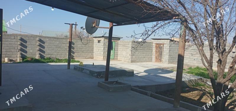 kreýne jaý - Кака - img 6