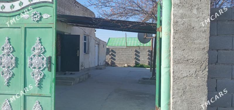 kreýne jaý - Кака - img 7