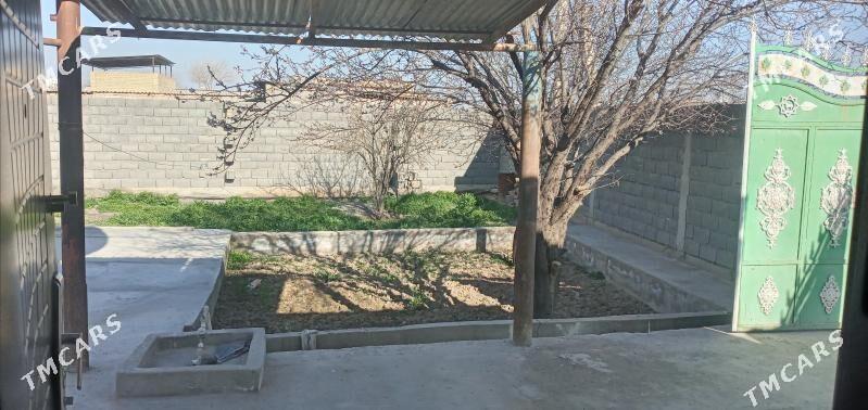 kreýne jaý - Кака - img 8