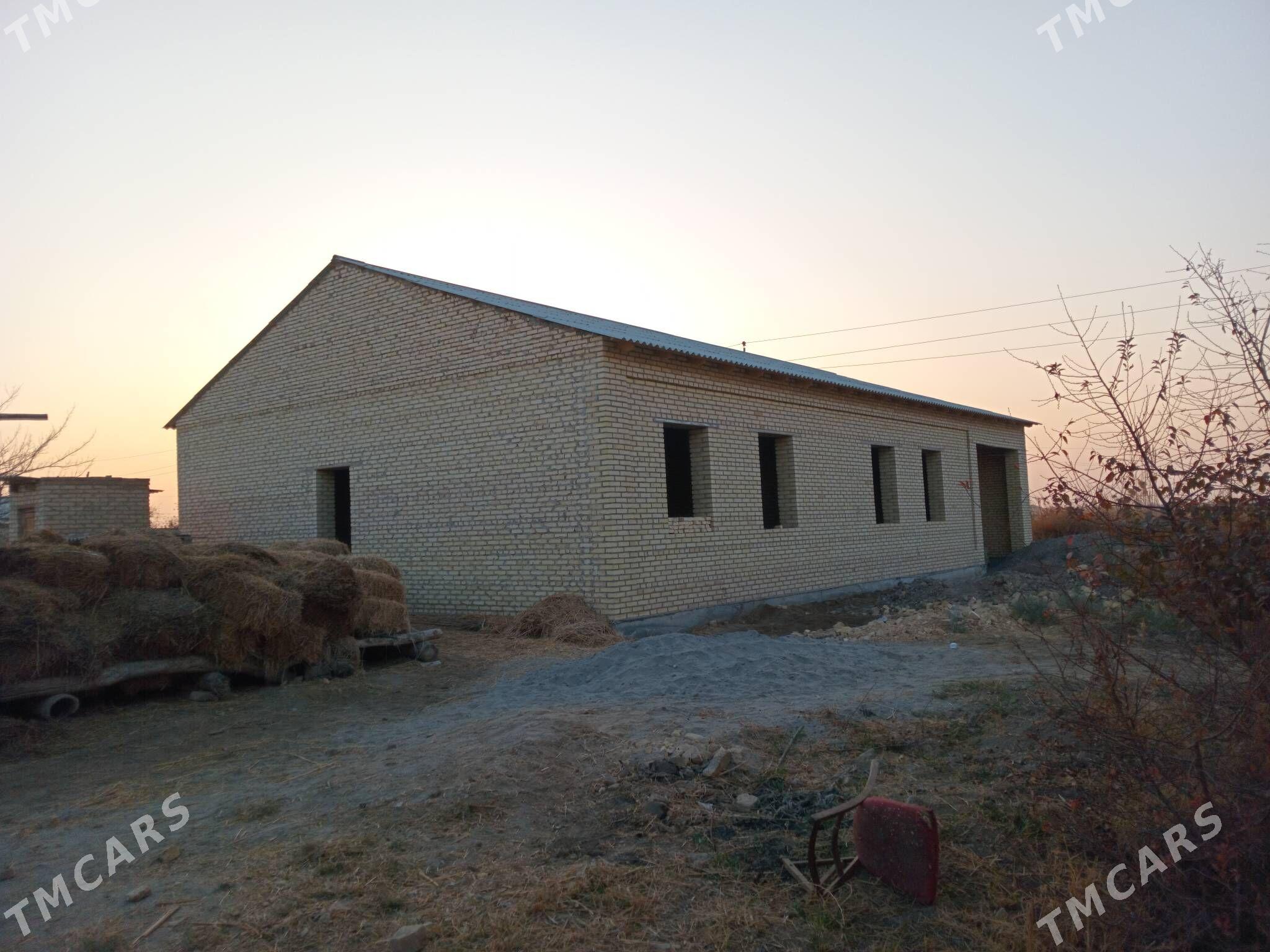 Satlyk Mellek - Сакар - img 7