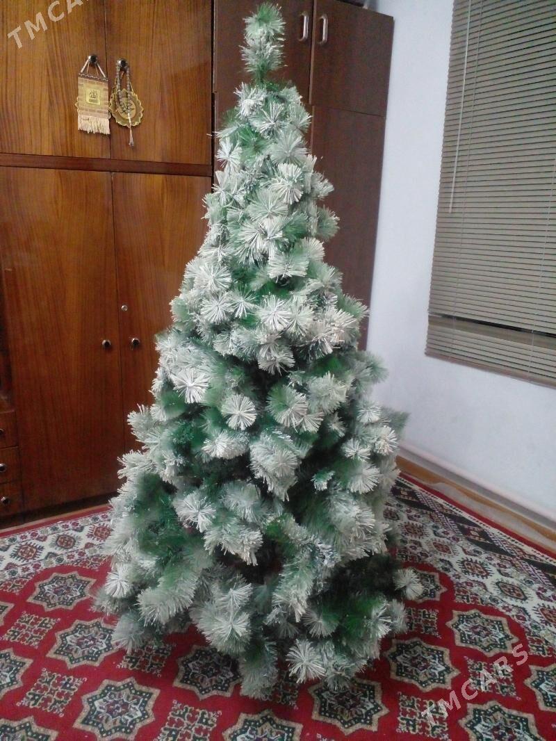 Йолка  Ýolka - Бахарден - img 2