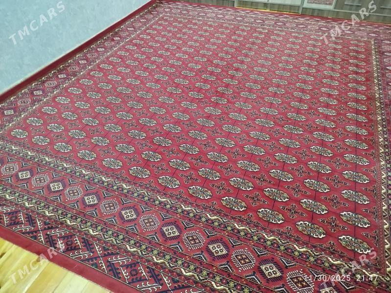 haly - Ёлётен - img 2