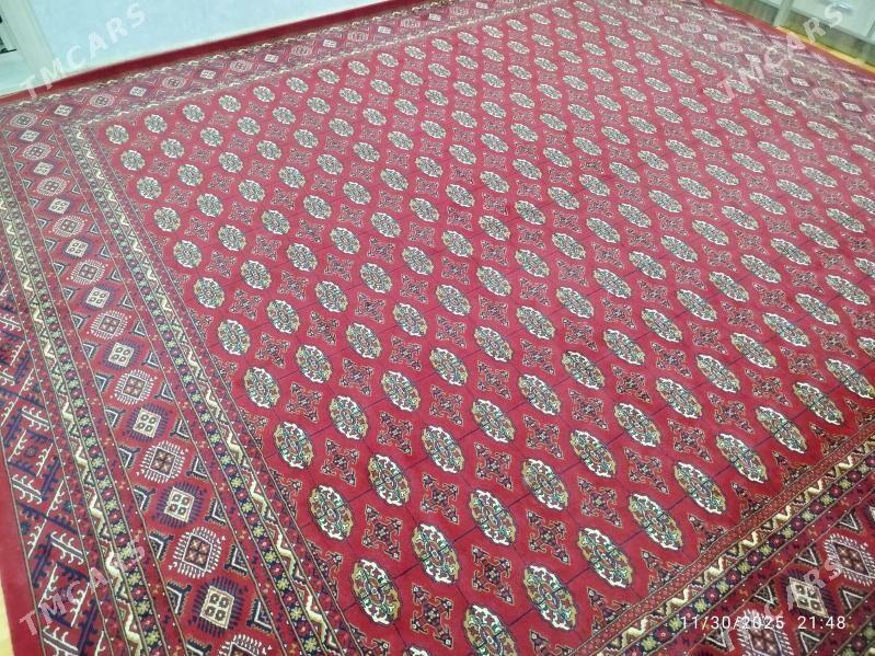 haly - Ёлётен - img 3