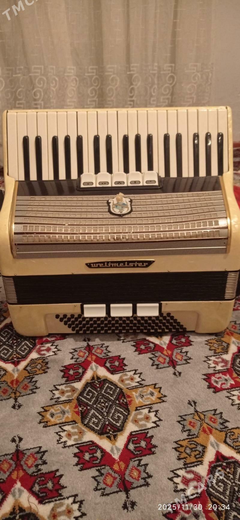 akardion - Balkanabat - img 2