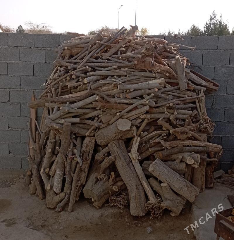 Odyn - Büzmeýin - img 2