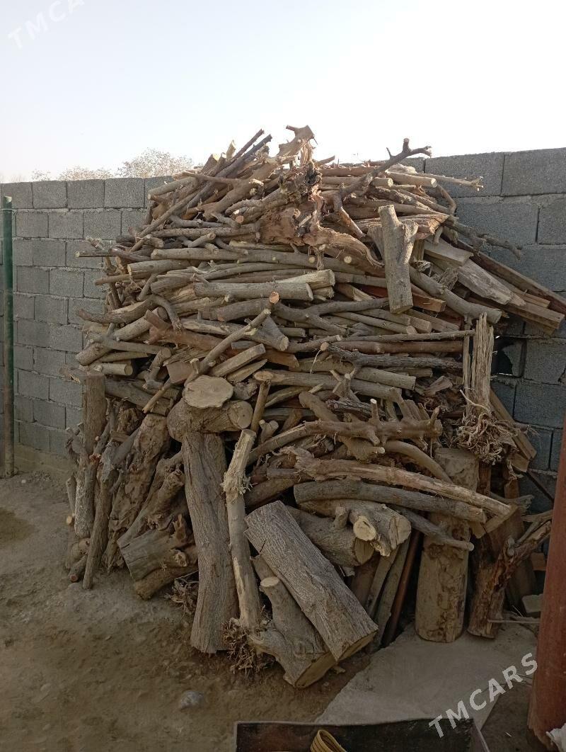 Odyn - Büzmeýin - img 1