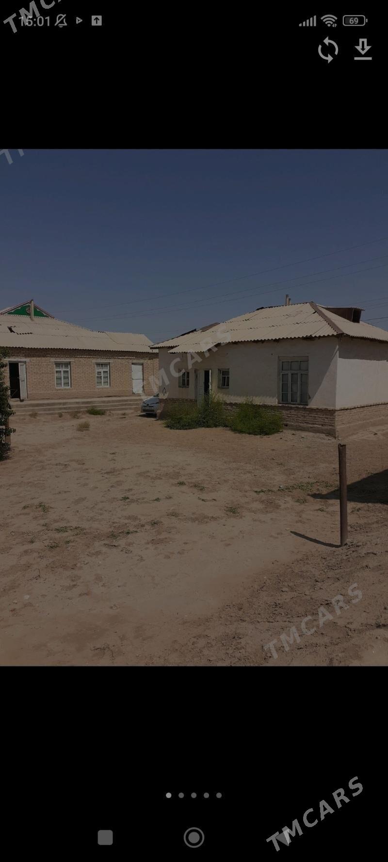 satlyk jay - Sakarçäge - img 2