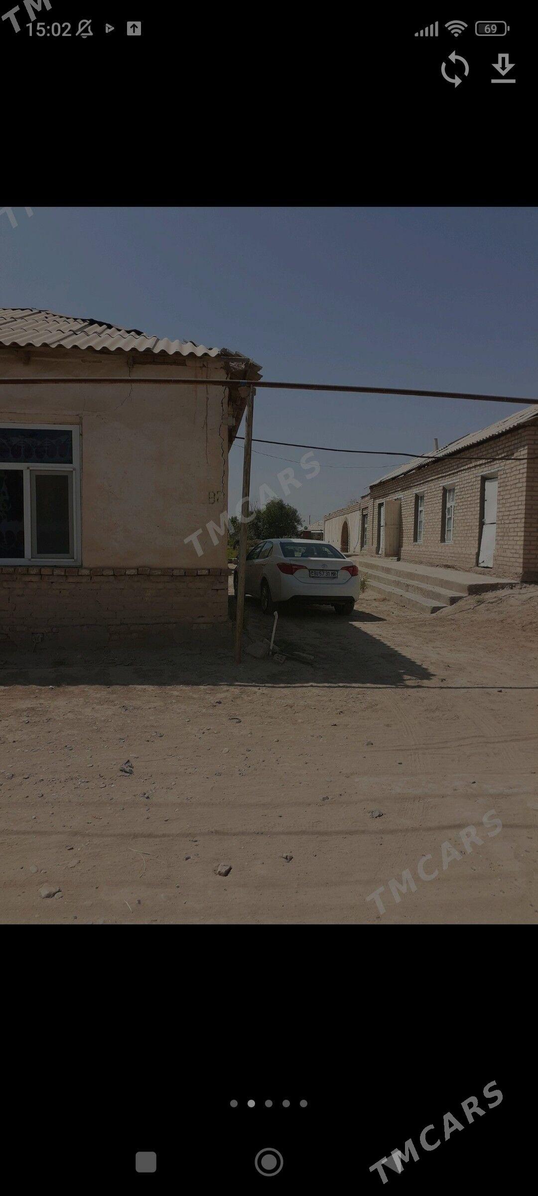 satlyk jay - Sakarçäge - img 3