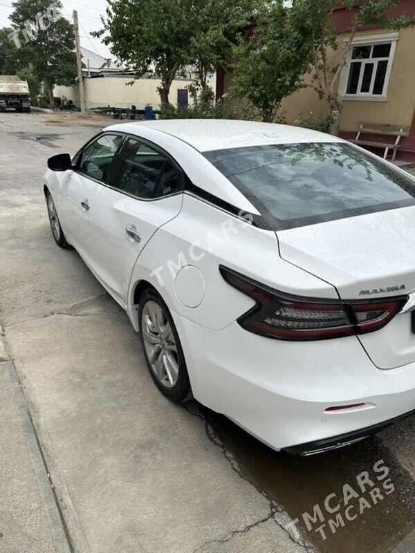 Nissan Maxima 2020 - 230 000 TMT - Чоганлы - img 2