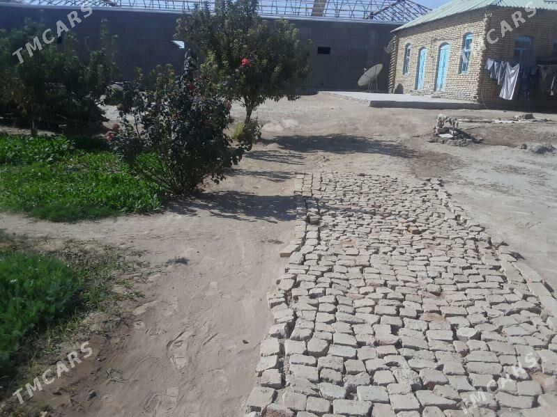 satlyk jay - Мары - img 1