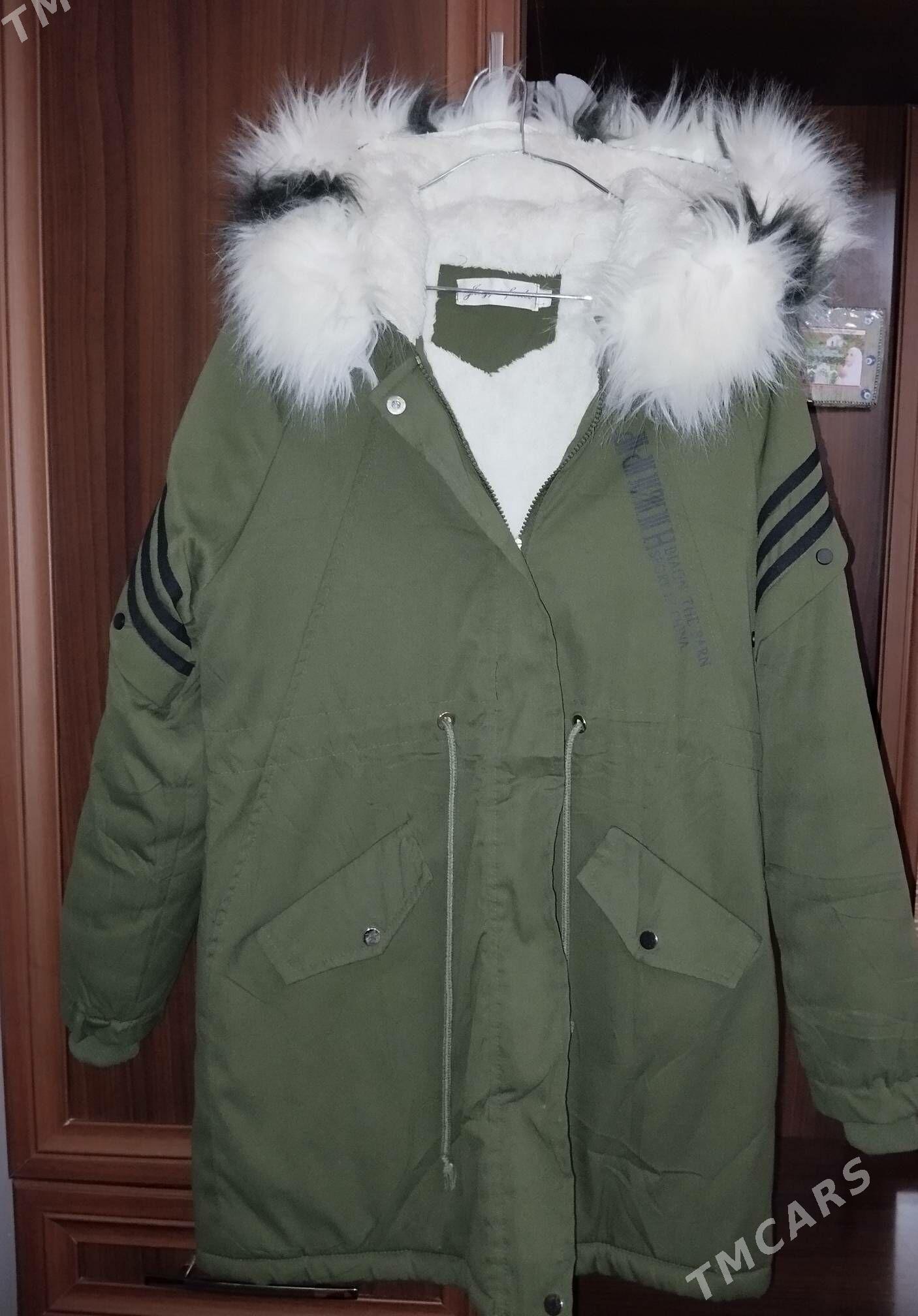 kurtka - Gyzylarbat - img 3