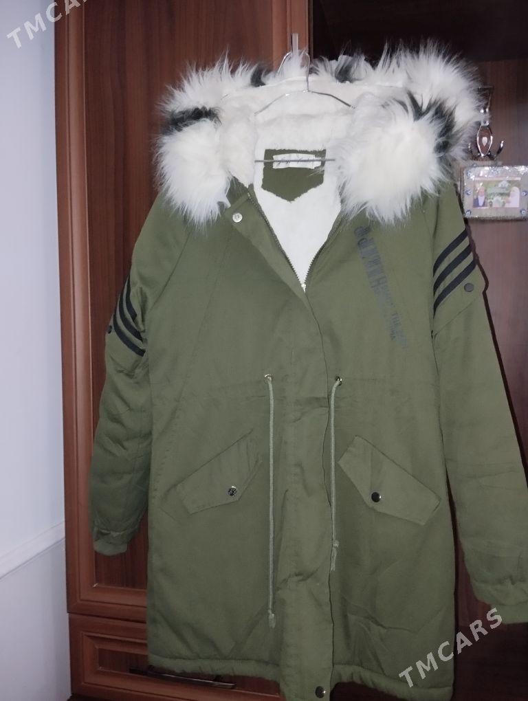 kurtka - Gyzylarbat - img 4