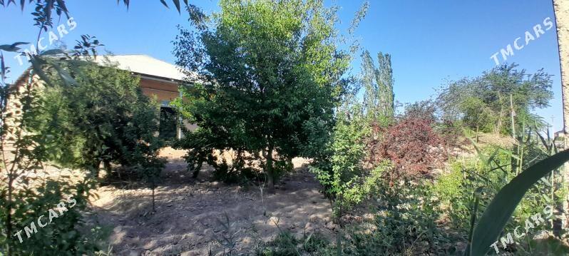 Satylýan jaý - Ruhubelent etraby - img 2