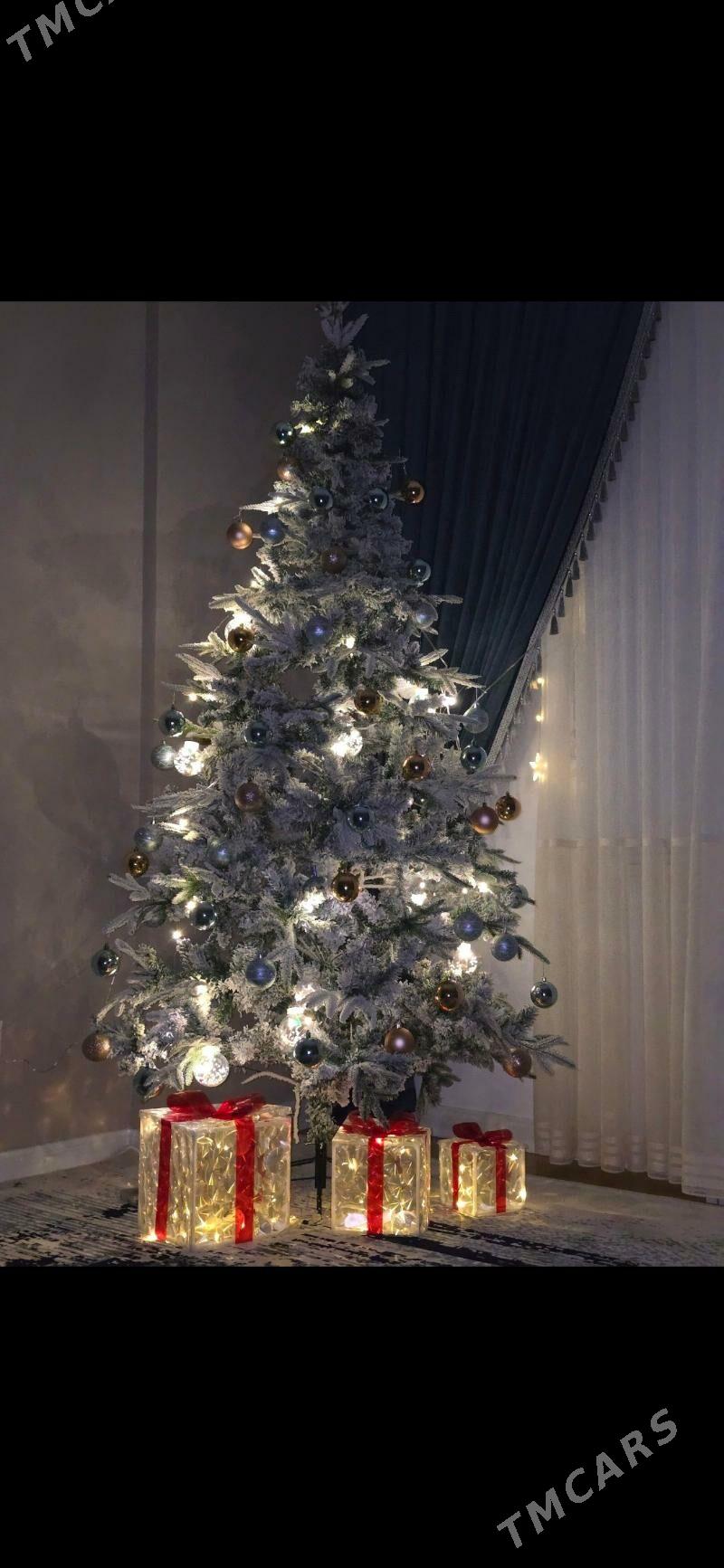 Tãze ýyl Ýolka - Aşgabat - img 1