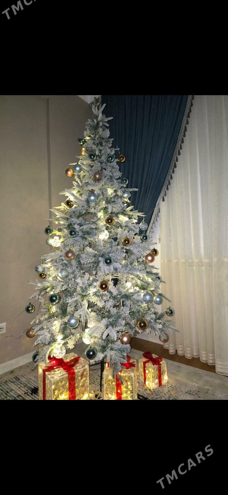 Tãze ýyl Ýolka - Aşgabat - img 2