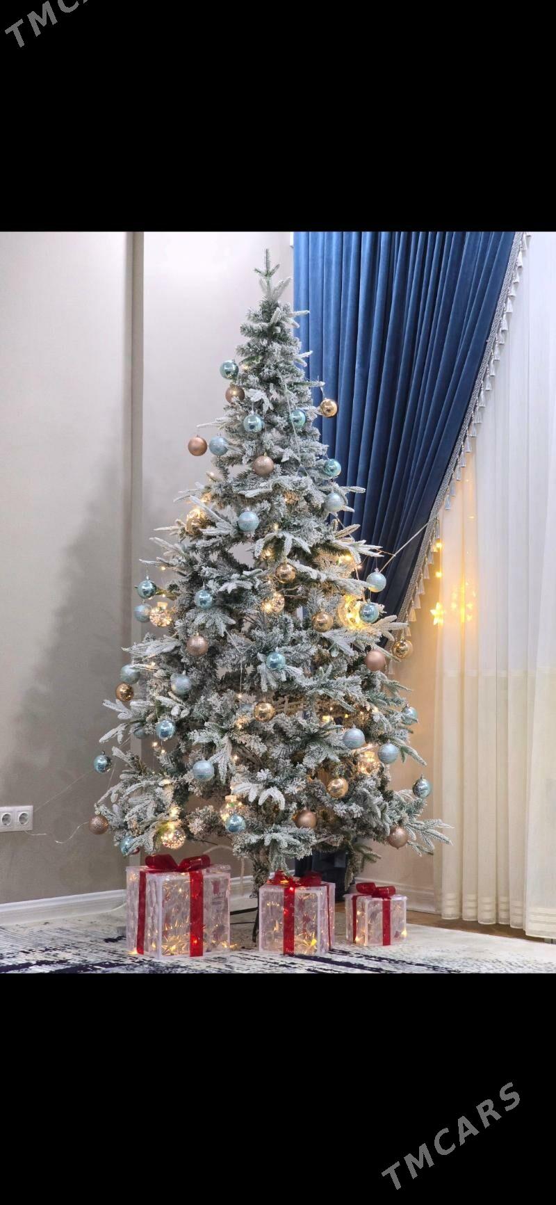 Tãze ýyl Ýolka - Aşgabat - img 3