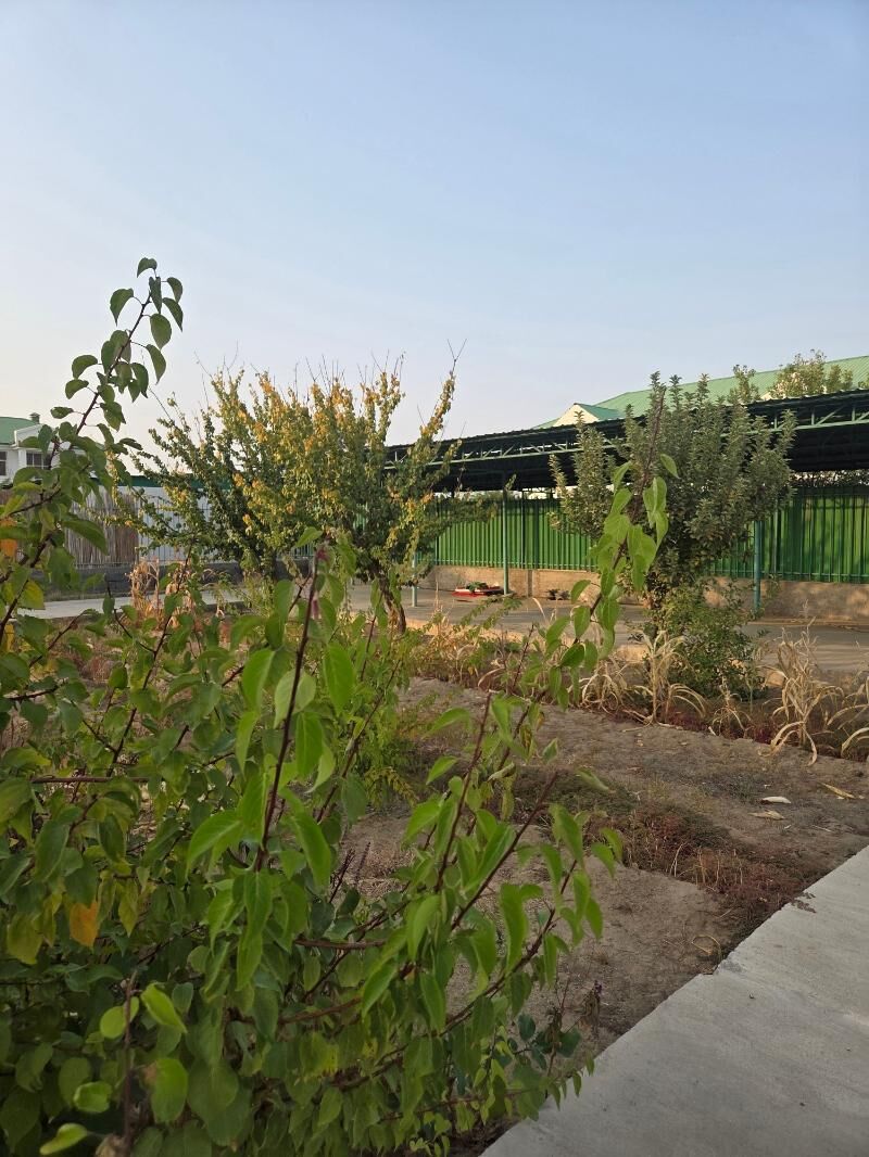 Taze zaman kottedz 1nji arka - Ашхабад - img 2