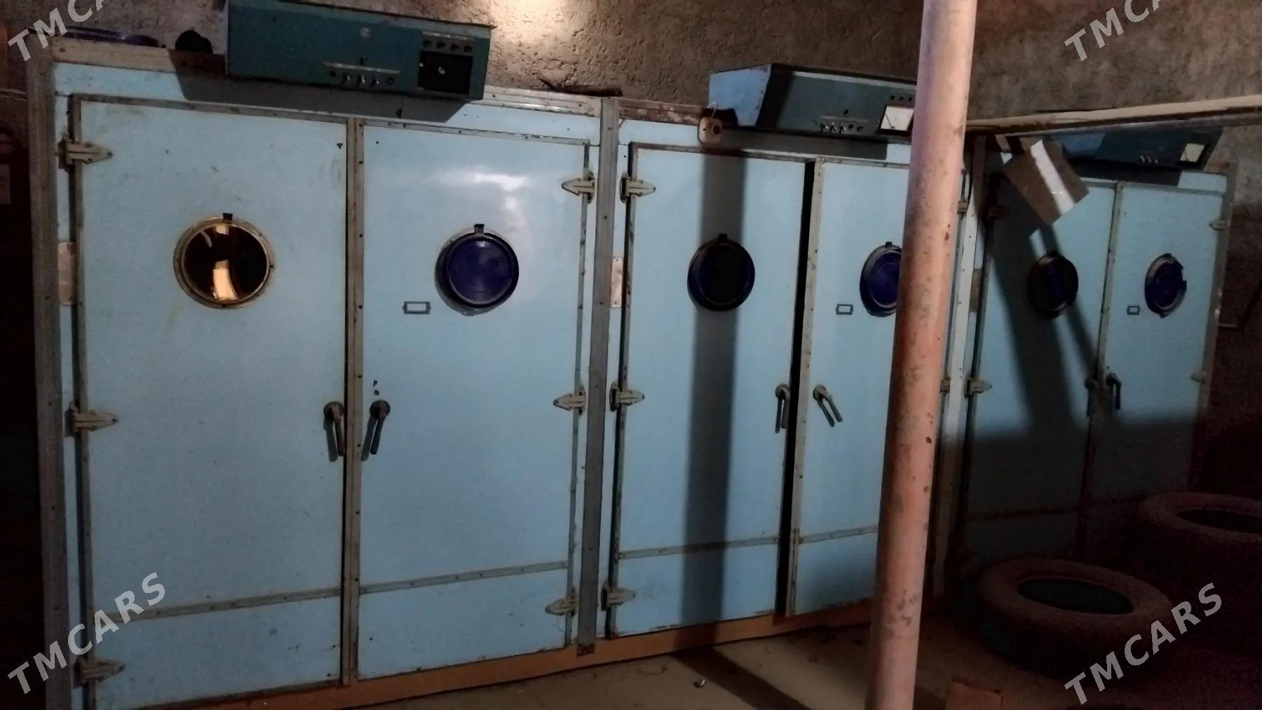 inkubator - Murgap - img 2