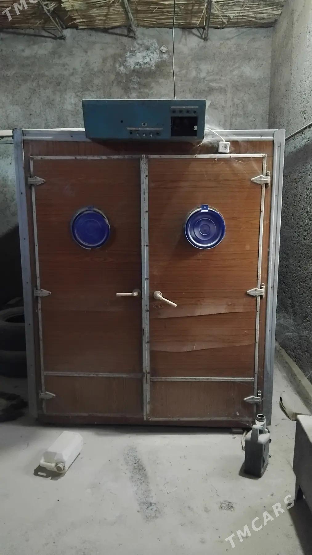 inkubator - Murgap - img 3