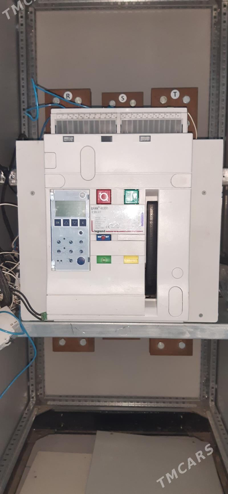 aftamat legerant - Mary - img 3