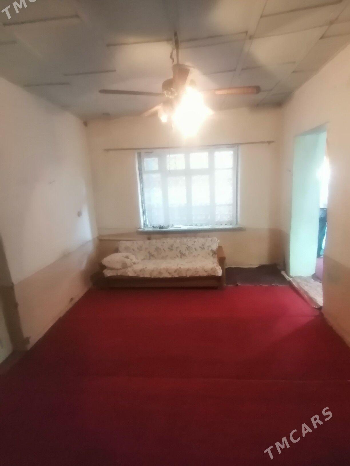   HOWLY   - Туркменабат - img 2