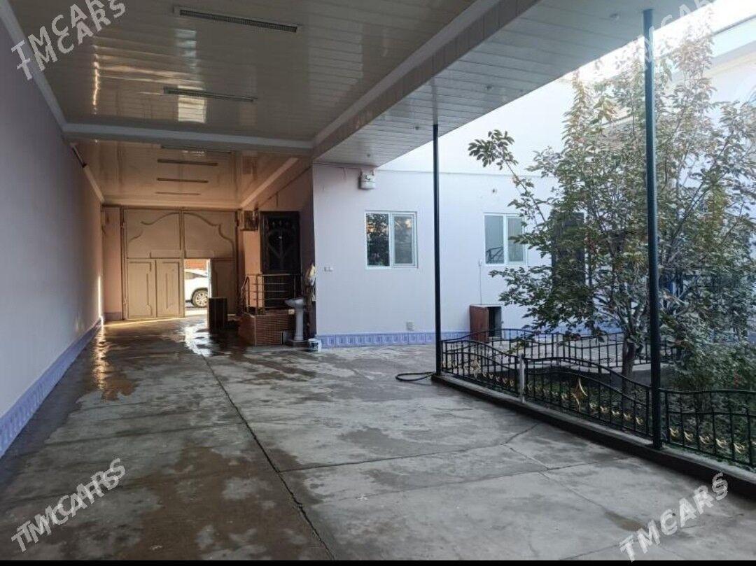   HOWLY   - Туркменабат - img 5