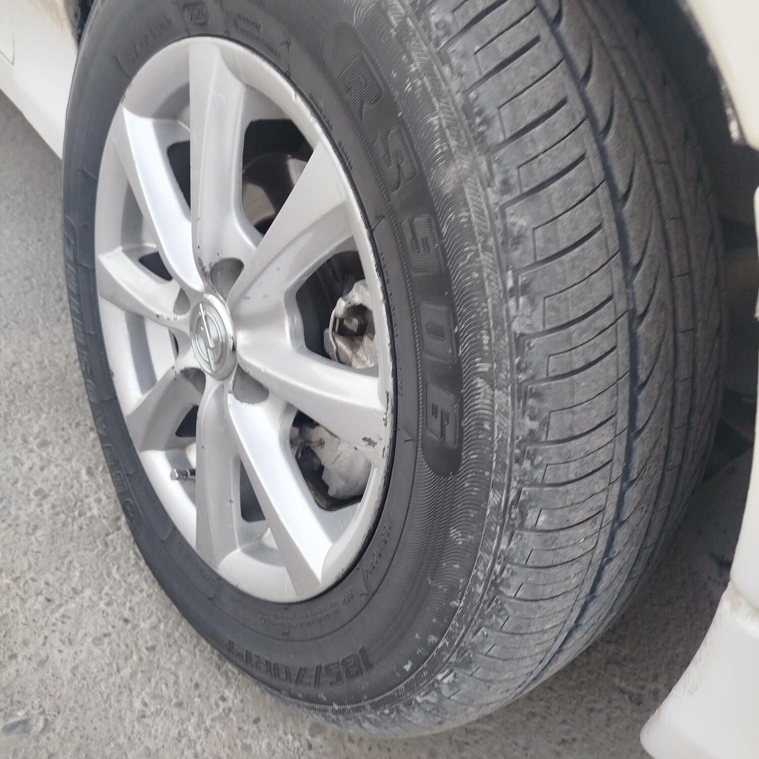 14 lik disga pakrisga obmen 3 000 TMT - Bedew - img 3