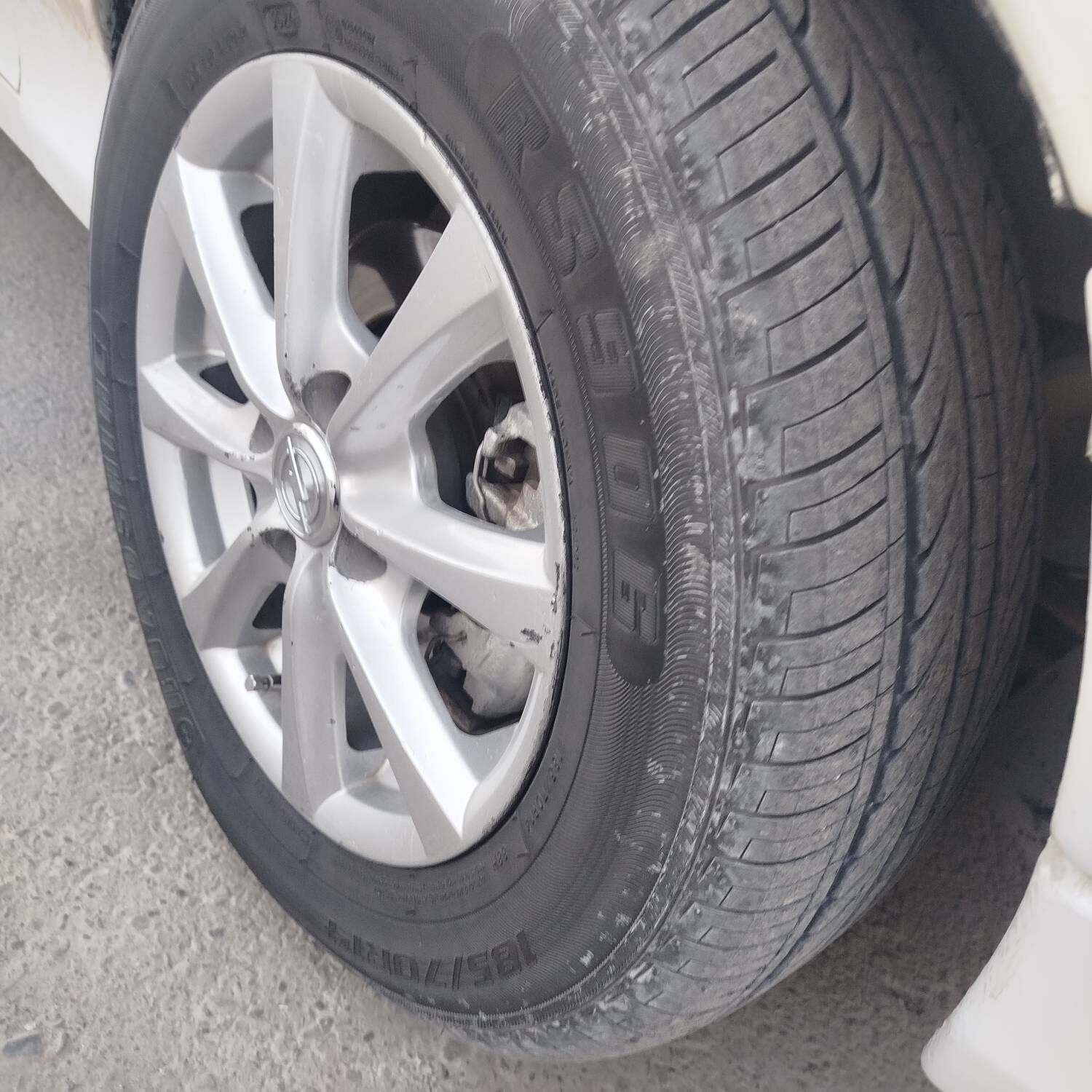 14 lik disga pakrisga obmen 3 000 TMT - Bedew - img 7