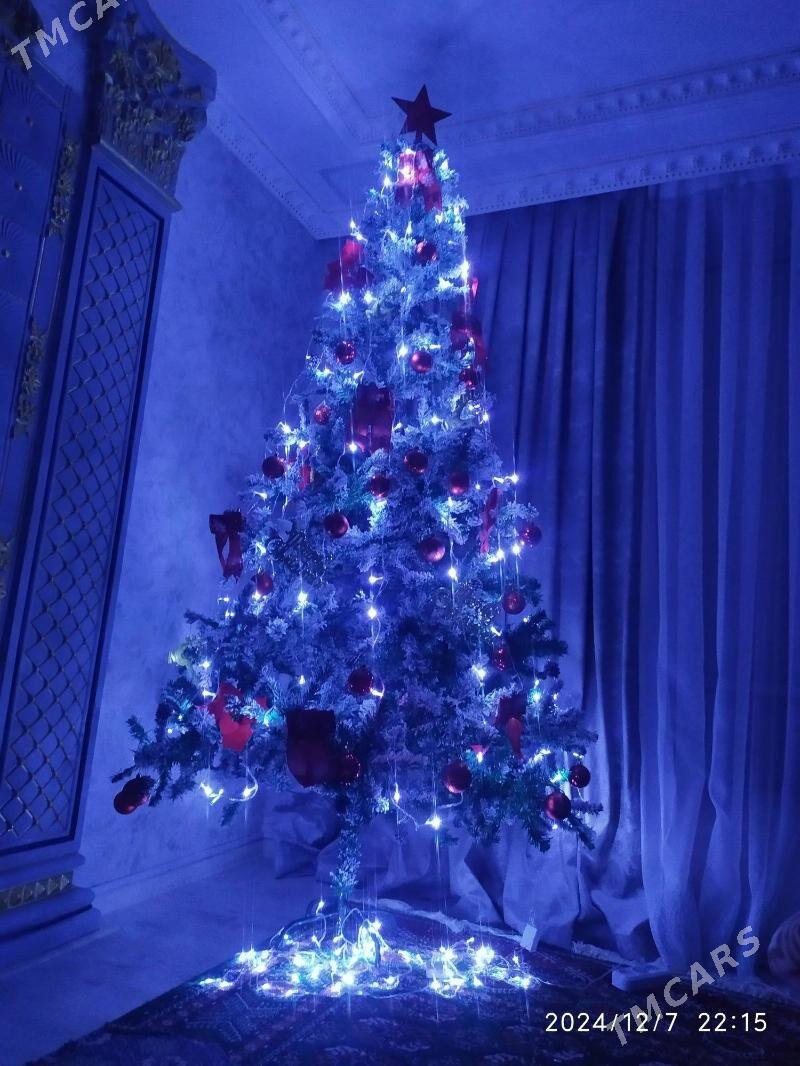 Yolka arca - Балканабат - img 2