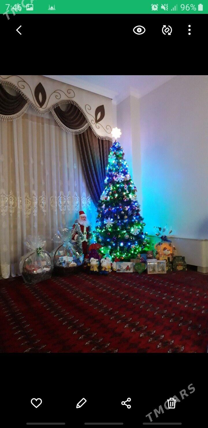 Ýolka Gaty Gyssagly - Ашхабад - img 3