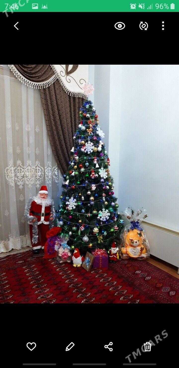 Ýolka Gaty Gyssagly - Ашхабад - img 2