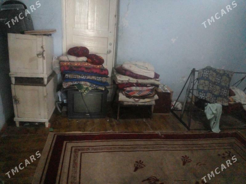 oy goslary - Туркменбаши - img 3