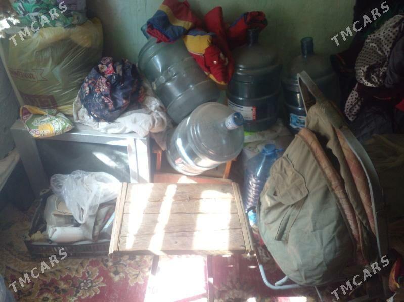 oy goslary - Туркменбаши - img 5