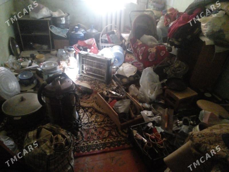 oy goslary - Туркменбаши - img 2