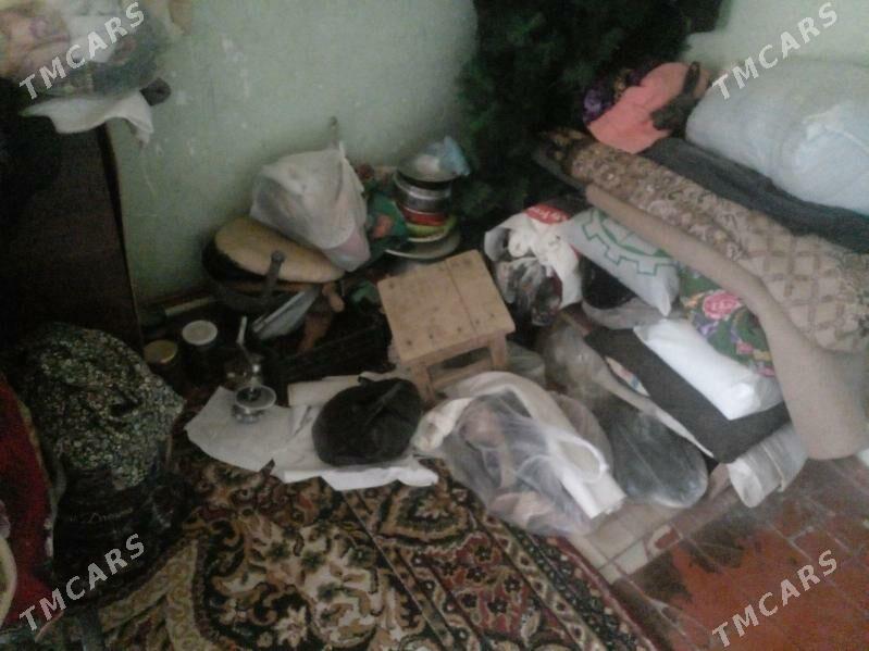 oy goslary - Туркменбаши - img 8