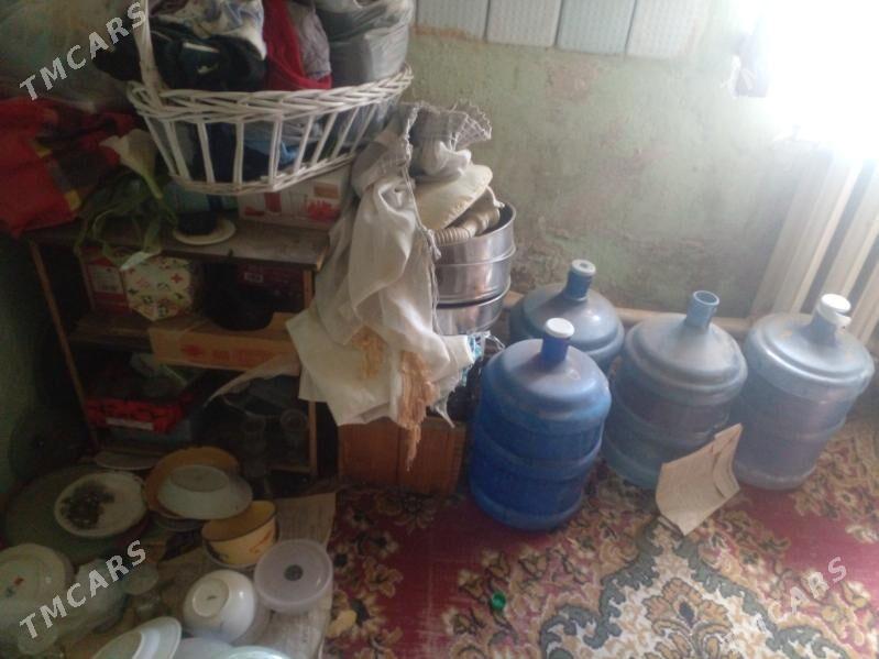 oy goslary - Туркменбаши - img 7