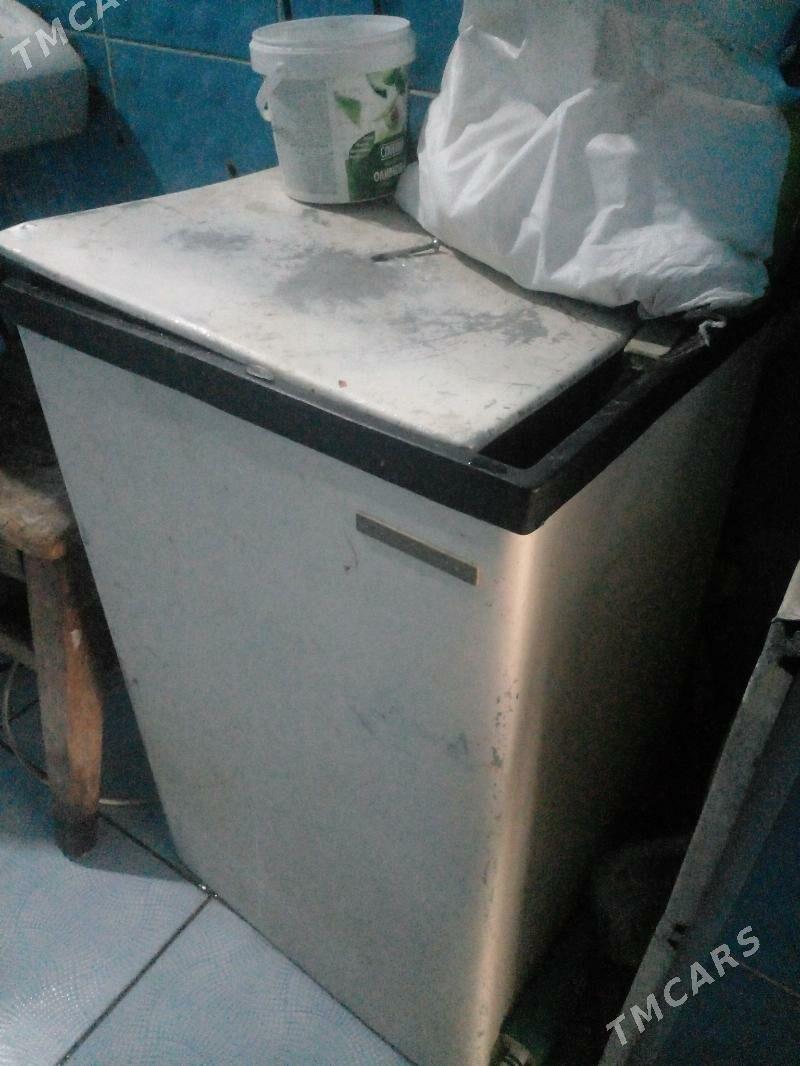 oy goslary - Туркменбаши - img 10