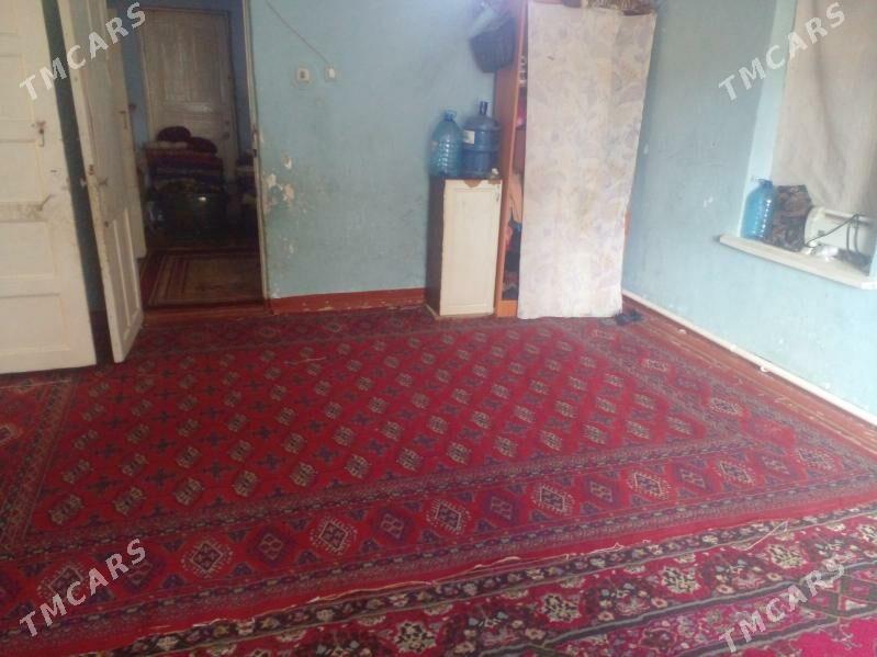 oy goslary - Туркменбаши - img 4
