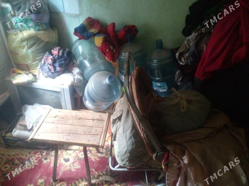 oy goslary - Туркменбаши - img 9