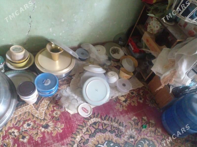 oy goslary - Туркменбаши - img 6