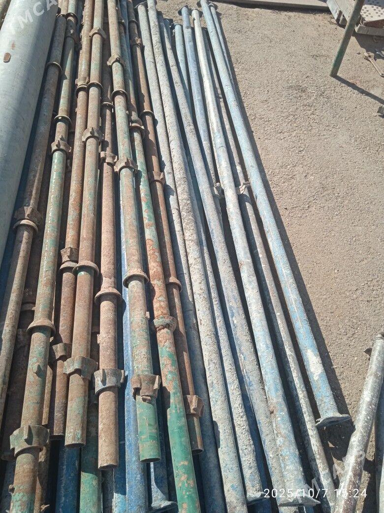 Isgele - Ak bugdaý etraby - img 3