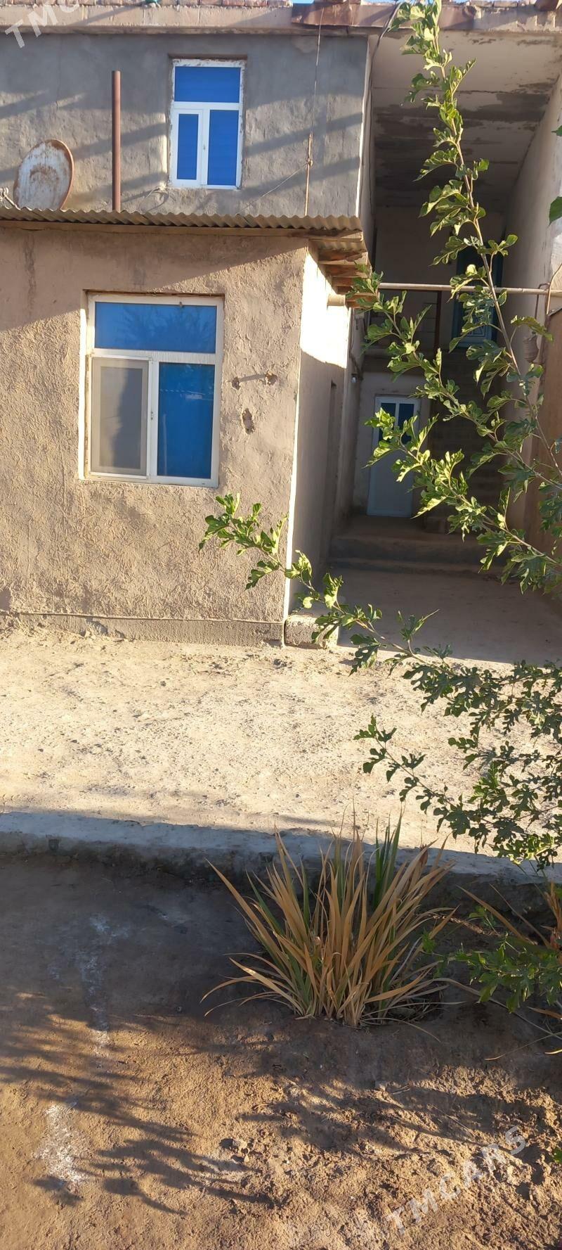 jay - етр. Туркменбаши - img 1