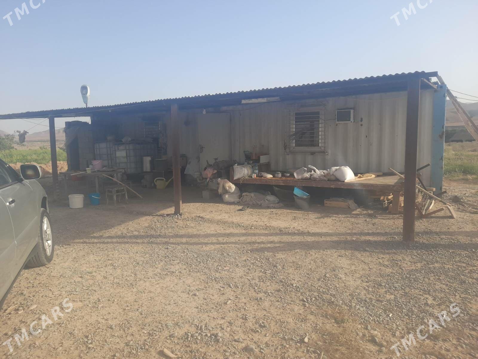 transformator - Ak bugdaý etraby - img 4