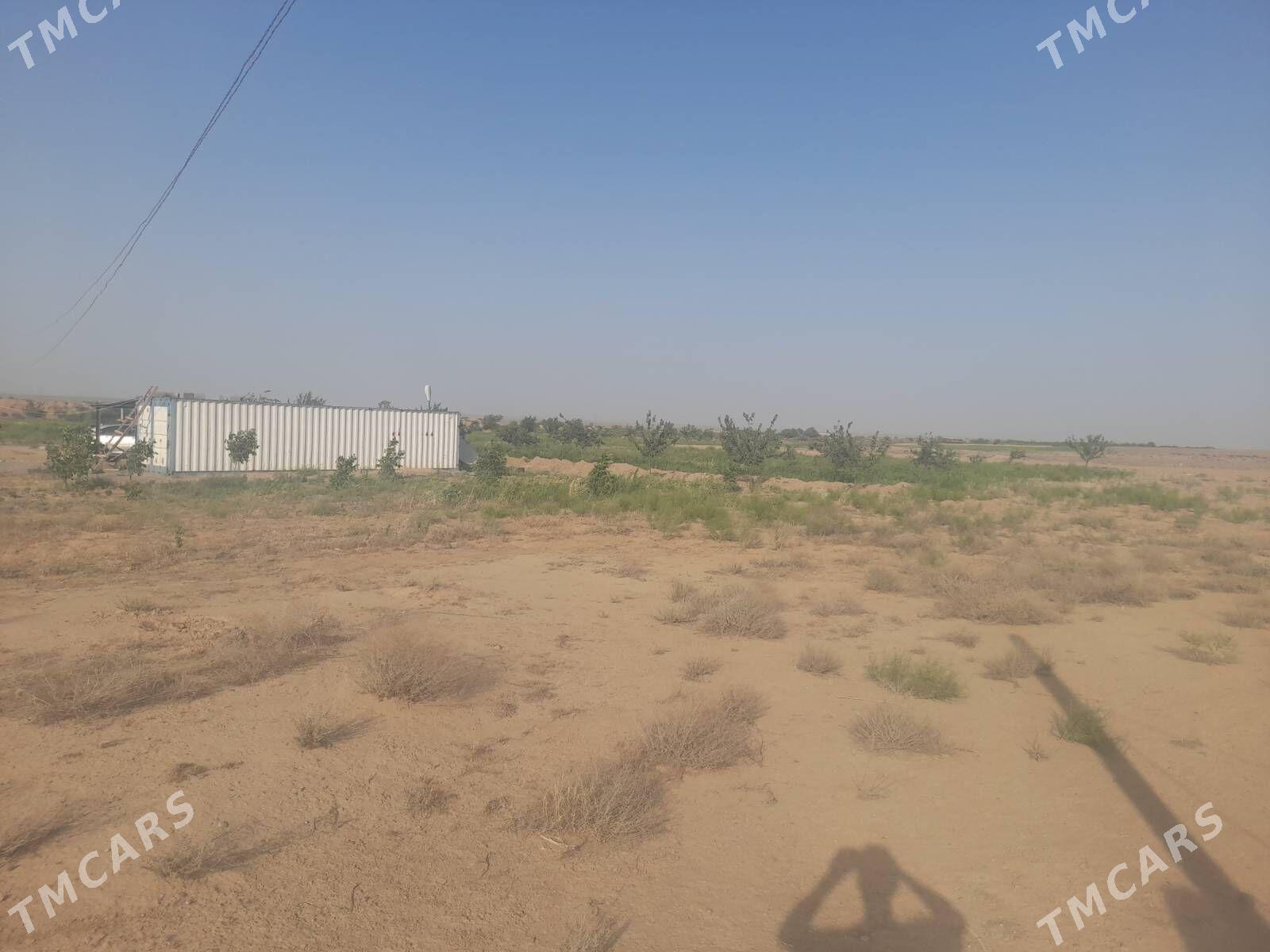 transformator - Ak bugdaý etraby - img 5