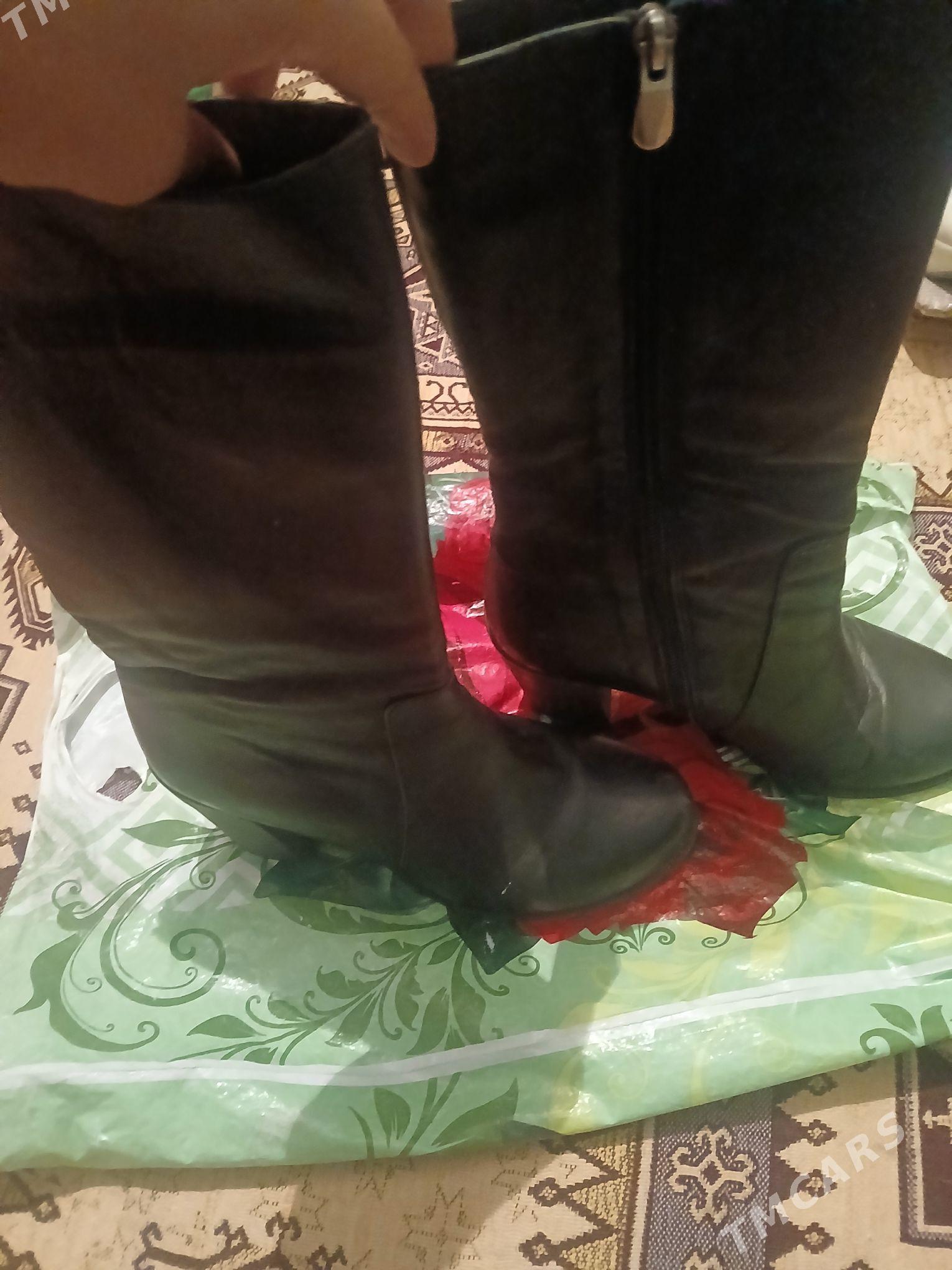 adik - Ашхабад - img 2