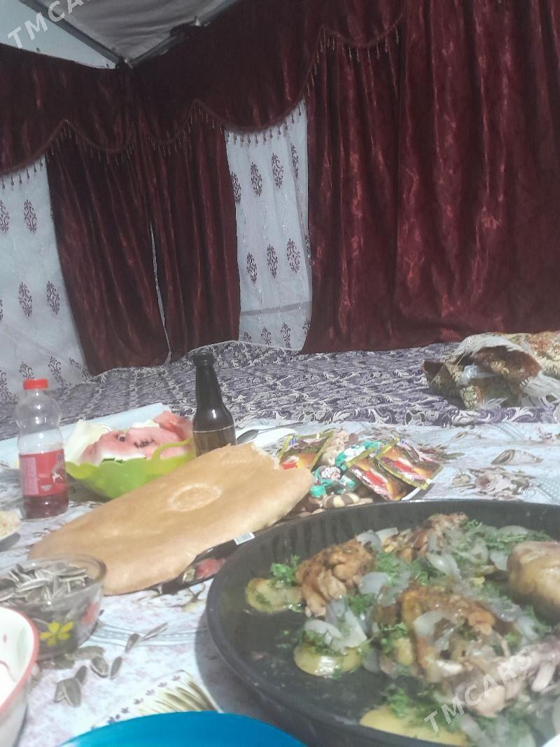 palatalar - Babadaýhan - img 5