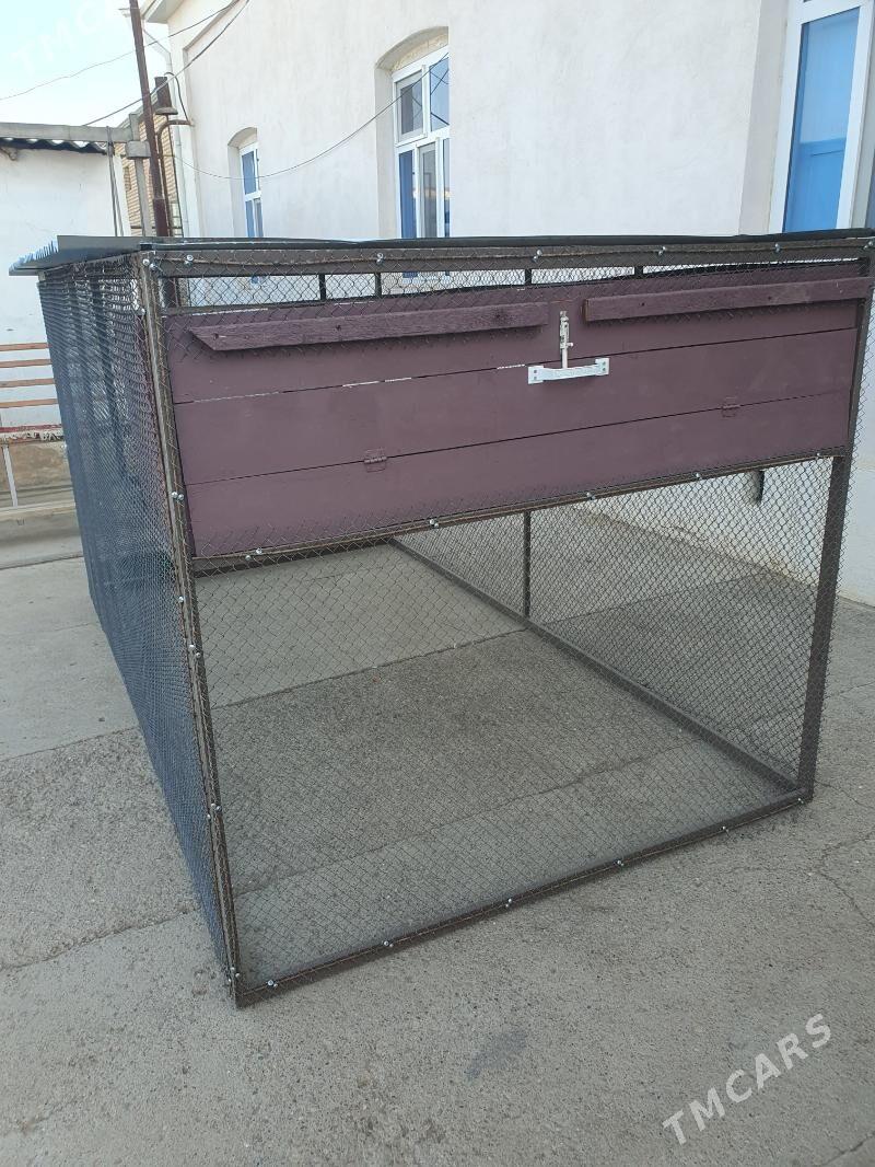 Oba hojalyk - Mary - img 2