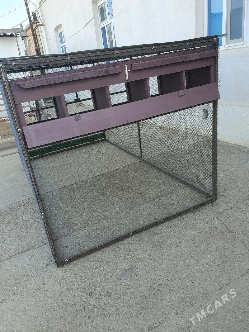 Oba hojalyk - Mary - img 3