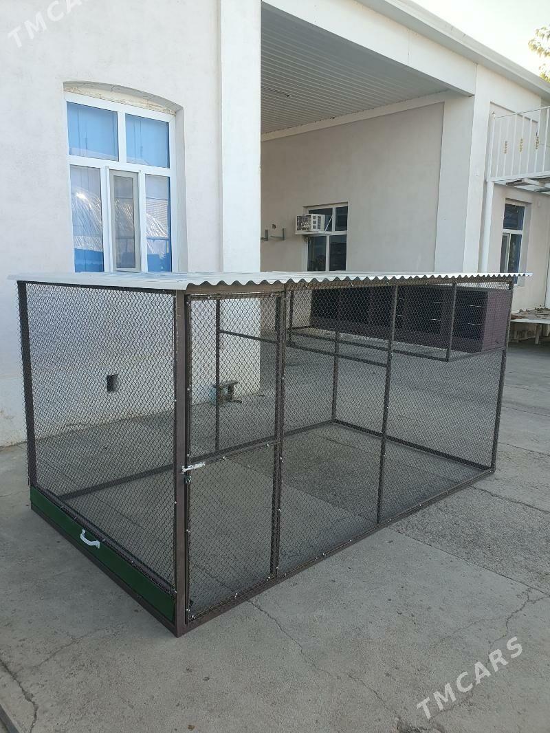 Oba hojalyk - Mary - img 5